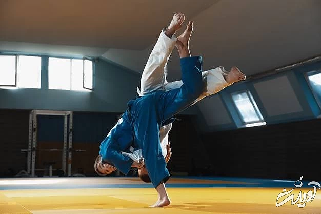 چه تفاوت هایی بین کاراته و تکواندو وجود دارند؟ رشته ورزشی تکواندو